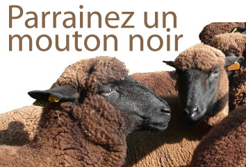 Parrainer un mouton